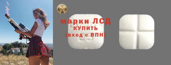 хмурый Лагань