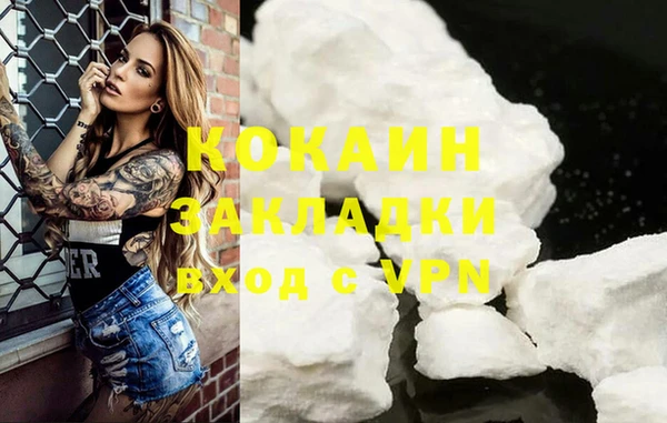 твердый Арсеньев