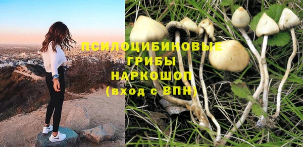 СК Армянск