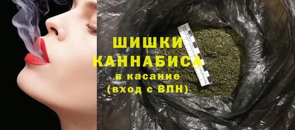 твердый Арсеньев